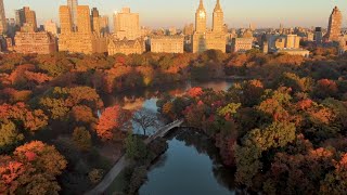 Fall In Central Park [upl. by Ahsinwad991]