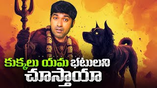 Superstitions amp Reality Of Dogs Vision Mysterious Antarctica Pyramid  Telugu  VR Raja Facts [upl. by Aetnahc]