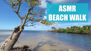 ASMR Virtual Beach Walk Bunche Beach [upl. by Enitnemelc]