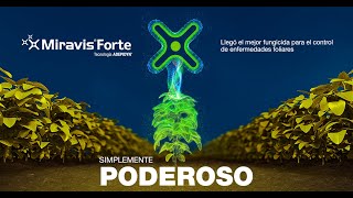 Miravis Forte  Fungicida Syngenta con amplio espectro de control [upl. by Halfon893]