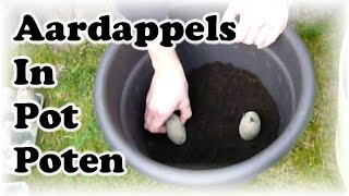 De Moestuin 16 Aardappels In Pot Poten [upl. by Anitsej]