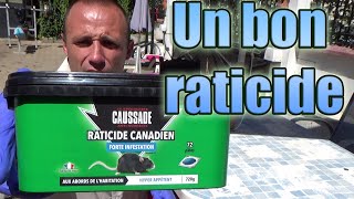 Un bon raticide pour les rats noirs amp souris pâte efficace lieu sec humide intérieur extérieur [upl. by Arimas]