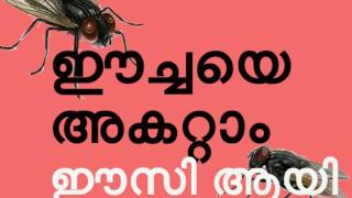 ഈച്ചയെ അകറ്റാം ഈസി ആയി How to get rid of houseflies naturally [upl. by Yenduhc]