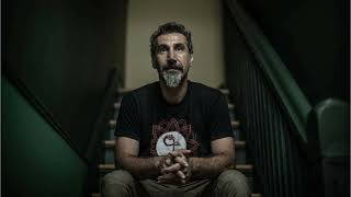 Serj Tankian remains open to a new System Of A Down album 2024 [upl. by Kcin]