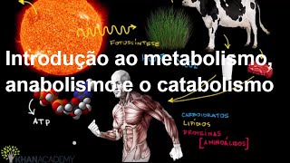 Introdução ao metabolismo anabolismo e o catabolismo  Energia e enzimas  Biologia  Khan Academy [upl. by Kazue]