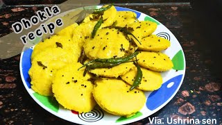 Quick Dhokla Recipe  Easy and Tasty homemade Gujarati food [upl. by Yengac226]