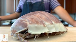 GRAPHIC LIVE GIANT Isopod Fried Rice  Real Life Pokemon Kabuto  Isopod Cooking Hour [upl. by Tumer]