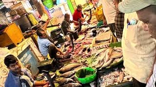 Malda Fish Market Quality amidst ChaosFish MarketGangaMahanadaFresh Fish [upl. by Tremayne]