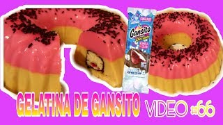 GELATINA DE GANSITO Fácil y rica 💖 [upl. by Raye]