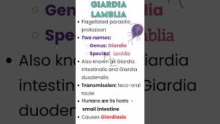 Giardia lamblia causes Giardiasis medzukhruf parasitology parasitic medicalfield [upl. by Alysia]