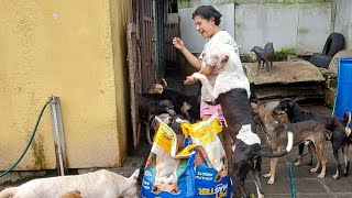 Refugio COLITAS recibe ALIMENTOS NICARAGUA [upl. by Eellac445]