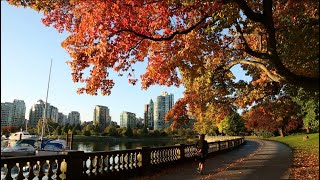 Top Things To Do In Vancouver Canada  A Complete Travel Guide [upl. by Wildee]