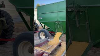 GNUSE GRAVITY WAGON DUMPING CORN shorts harvest24 johndeere gnusemfg farming corn [upl. by Groscr487]