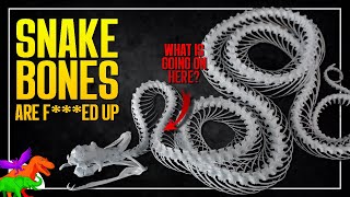 The Utterly Bizarre Skeletons of Snakes  BUSTED BONES [upl. by Ennovaj]