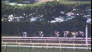 AP Indy  1992 Belmont Stakes G1 [upl. by Ogram]