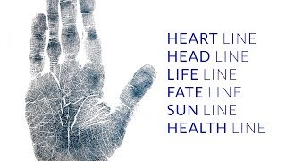 Palmistry Fate Line Head Line Heart Line Life Line Sun Line Health Line Analysis 312 [upl. by Eak]