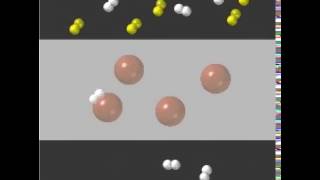 Membranes  Facilitated Transport [upl. by Means]