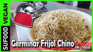 【Nueva Forma de Germinar Frijol Chino en casa】Paso a paso【SuFood】 [upl. by Sargent82]