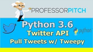 Beginners Using the Twitter API [upl. by Ott308]