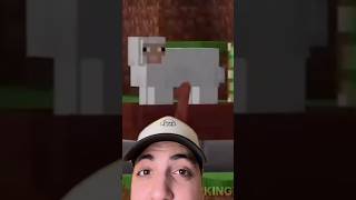 This Minecraft player needs to be stopped [upl. by Toby810]