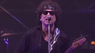 Andrés Calamaro  El Salmón [upl. by Ocicnarf]