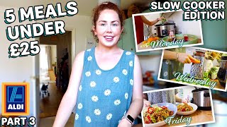 5 SLOW COOKER MEALS FOR UNDER £25 FROM ALDI  Summer Low Budget Slow Cooker Recipes 2022 [upl. by Him]