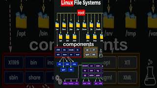 Linux File Systems [upl. by Vatsug]