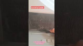 PULIZIA ASCIUGATRICE IN 3 STEP✅️🔝asciugatrice cleaninghacks cleaningtips cleaning [upl. by Ethelred]