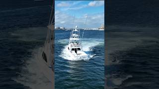 35 Bertram Classic Sportfish yacht sportfish boating [upl. by Koblas696]