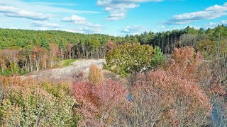 Cobblers Creek  Phase II from a Birds Eye View  October 2024 [upl. by Ystap]