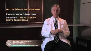 Acute Myeloid Leukemia  Symptoms [upl. by Ahtelahs818]