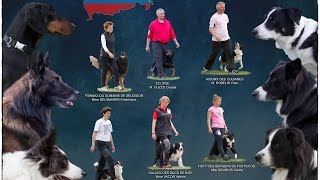 Equipe de France Championnat du monde Obéissance  French Team Obedience World Championship  2016 [upl. by Derk]