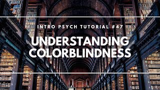 Understanding Colorblindness Intro Psych Tutorial 47 [upl. by Nahtaoj160]