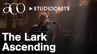 The Lark Ascending  Ralph Vaughan Williams  ACO StudioCasts  Australian Chamber Orchestra [upl. by Aryad]