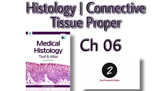 Connective Tissue Proper  Chapter 06  Histology  Laiq Hussain Markings amp Imp Questions [upl. by Adekahs]