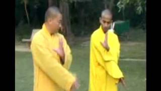 Shifu Shi Heng jun Training Shifu Kanishka Sharma in Traditional Shaolin [upl. by Azilem]