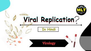 Viral Replication in Hindi  Viral replication in microbiology [upl. by Zelikow]