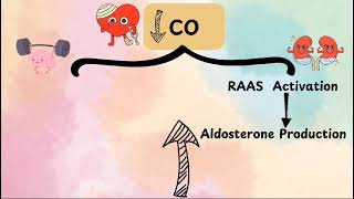 compensatory mechanisms in heart failure [upl. by Ereynihc]