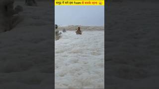 Be careful of this sea foam 😮 shorts facts viralvideo seafoam sea sealife [upl. by Noteek49]