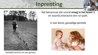 Bio  Vormen van leren Imiteren oefenen inprenting gewenning en inzicht  Gedrag 3 [upl. by Harriott318]