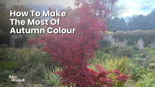 How To Make The Most Of Autumn Colour [upl. by Redla]