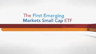 DGS WisdomTree Emerging Markets SmallCap Dividend Fund [upl. by Adnilec819]