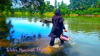 Liziqi IndonesiaWater Hyacinth Flower dengan Kerang SungaiGadis Desa Memasak Traditional [upl. by Ethbun]