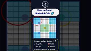 How to Count Bacterial Cells Like a Pro Hemocytometer Edition 🔬🧫 BacteriaCounting microbiology [upl. by Akciret]