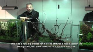 TAKASHI AMANO LAYOUT SEMINAR A 120cm aquarium tank No5 20120222 [upl. by Alya18]