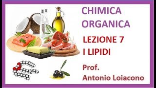 CHIMICA ORGANICA  Lezione 7  I Lipidi [upl. by Russian]