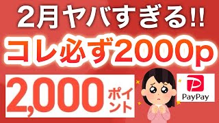 【2月ヤバイ】こんなに貰えて大丈夫…？？【PayPayも‼︎】 [upl. by Nunciata864]