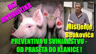 Program PREVENTIVE za svinjarstvo  od PRAŠENJA do KLANICE bez ANTIBIOTIKA  mišljenje Beukovića [upl. by Kunz77]