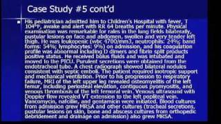 Staphylococcus aureus sepsis syndrome [upl. by Tezil982]