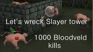 Runescape 2007  Lets wreck Slayer tower 1000 Bloodveld kills [upl. by Vorster]